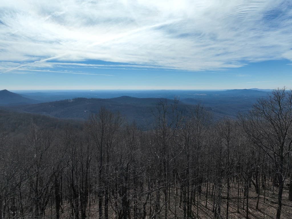 256 Blood Root Trail, Ellijay GA 30536 - Photo