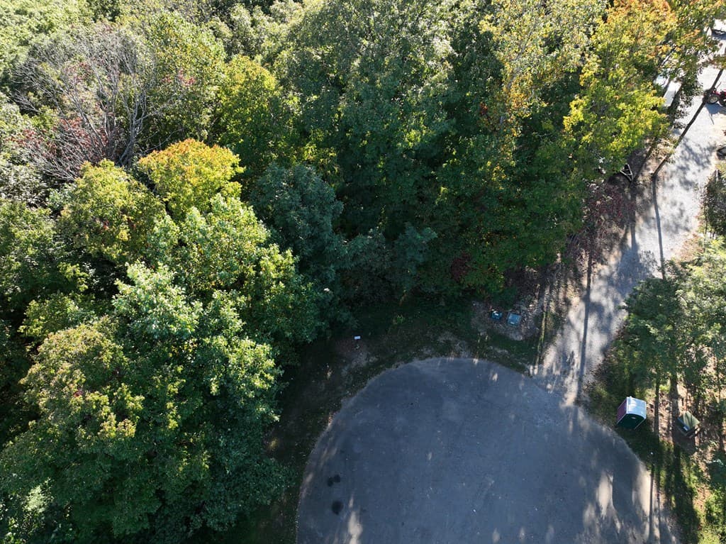 256 Blood Root Trail, Ellijay GA 30536 - Photo