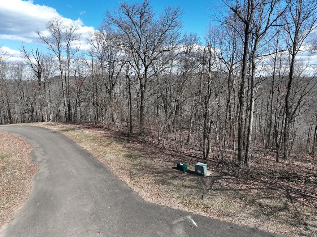 256 Blood Root Trail, Ellijay GA 30536 - Photo
