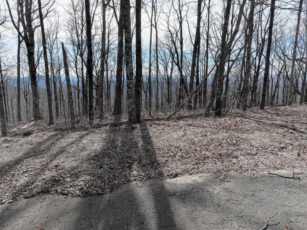 256 Blood Root Trail, Ellijay GA 30536 - Photo