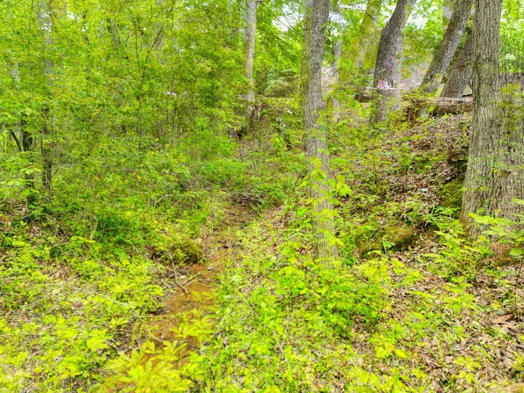 2287 Lovingood Road, Hiawassee GA 30546 - Photo