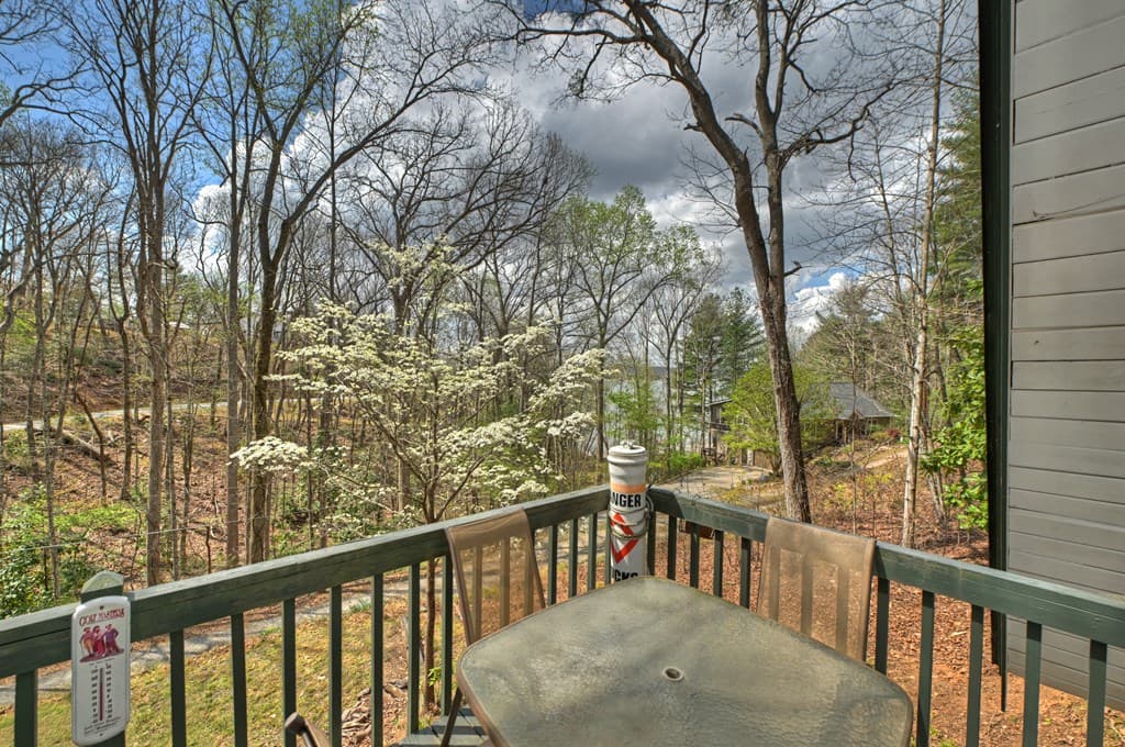 32 Lake Front, Morganton GA 30560 - Photo