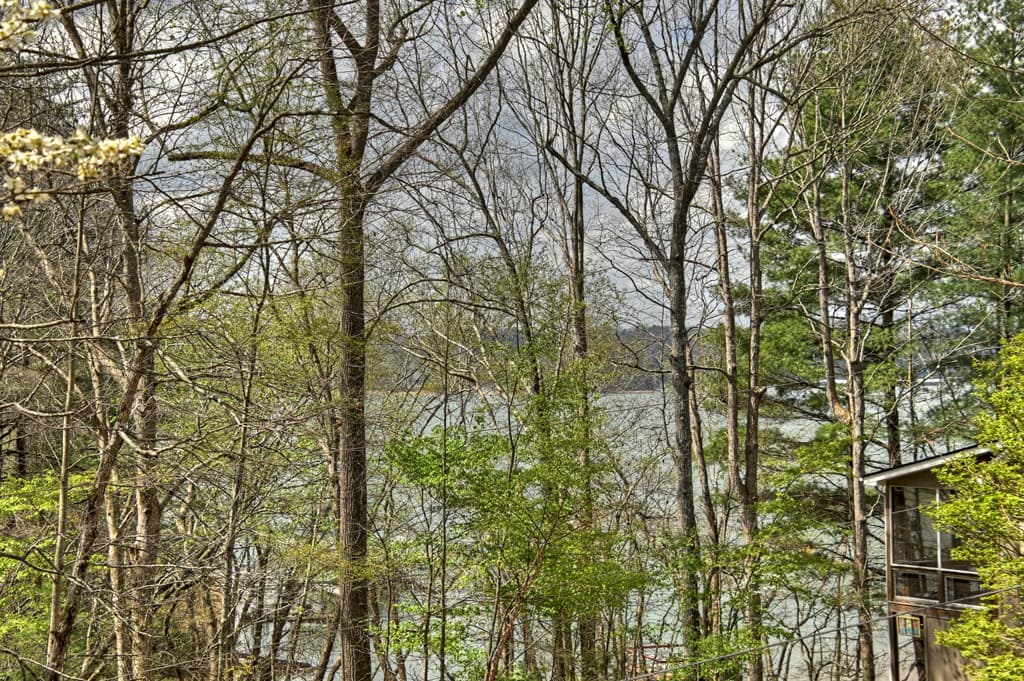 32 Lake Front, Morganton GA 30560 - Photo