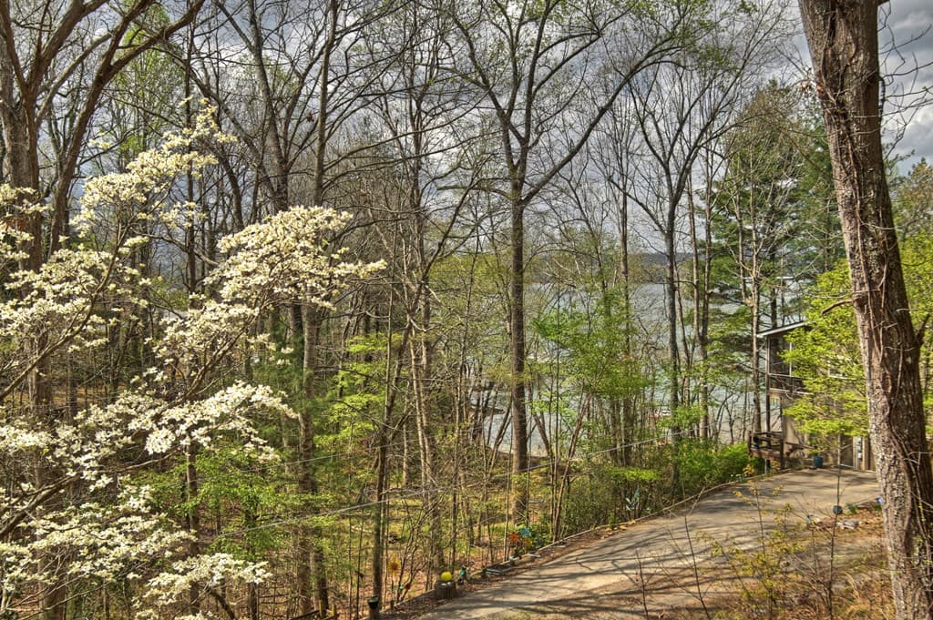 32 Lake Front, Morganton GA 30560 - Photo