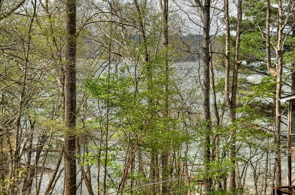 32 Lake Front, Morganton GA 30560 - Photo