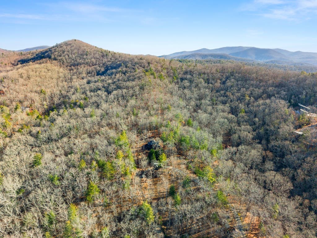 234 Old Indian Trail, Blue Ridge GA 30513 - Photo