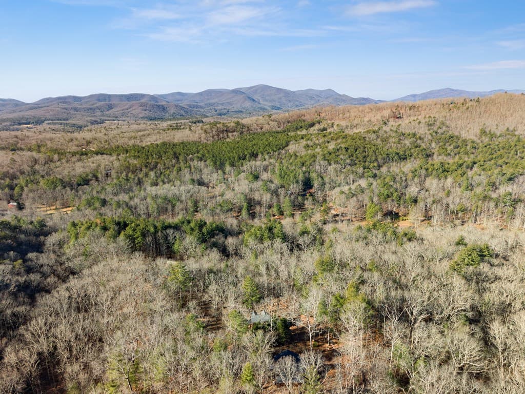 234 Old Indian Trail, Blue Ridge GA 30513 - Photo