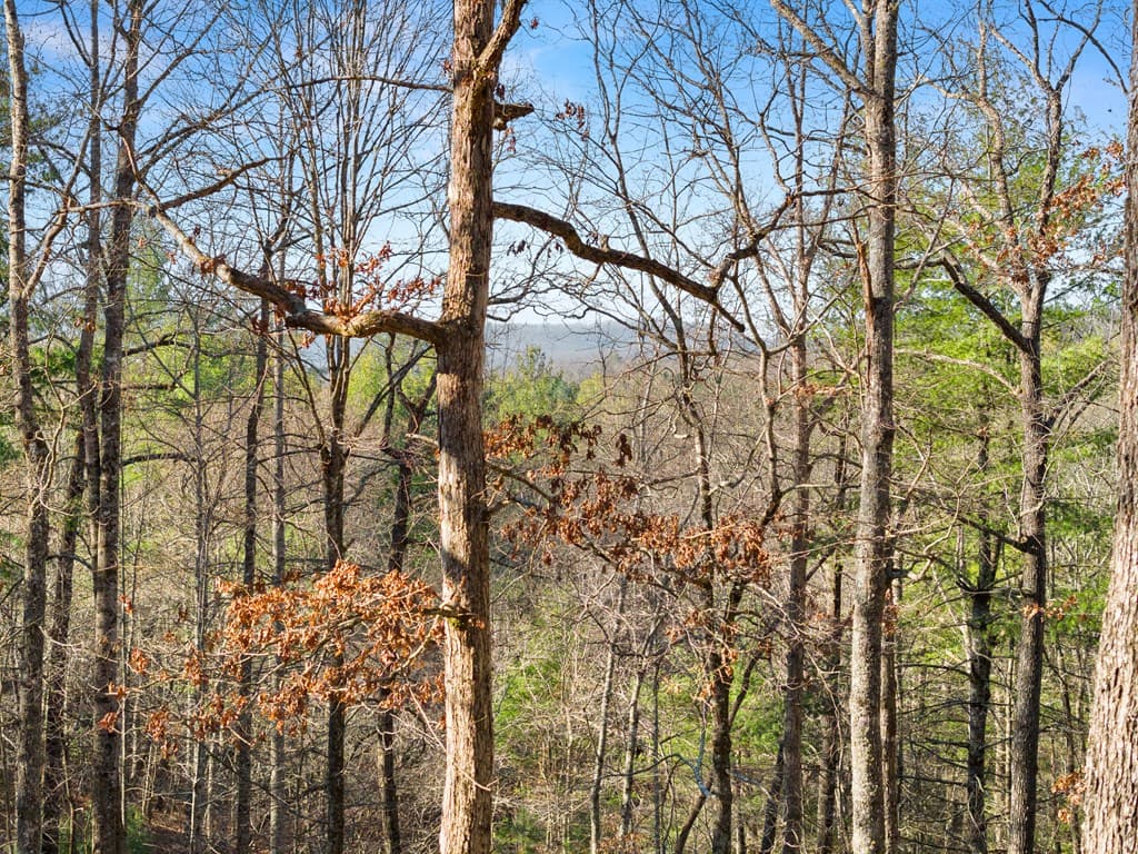 234 Old Indian Trail, Blue Ridge GA 30513 - Photo