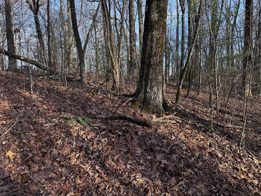 32 Andes Ridge, Jasper GA 30143 - Photo