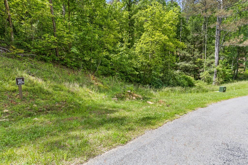 lot 205r Pinnacle Drive, Ellijay GA 30540 - Photo