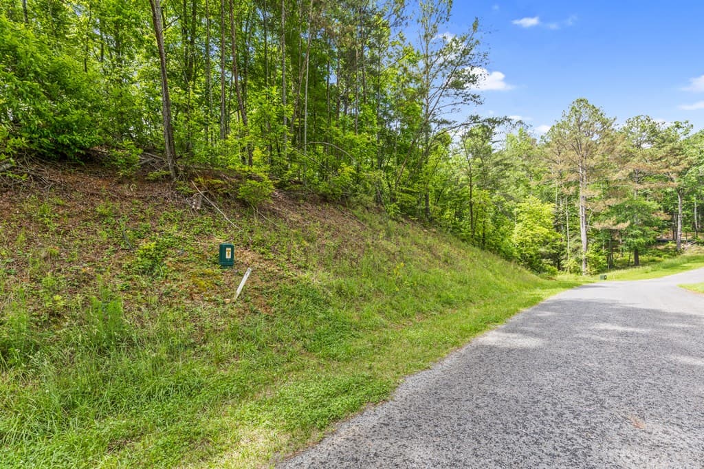 lot 205r Pinnacle Drive, Ellijay GA 30540 - Photo