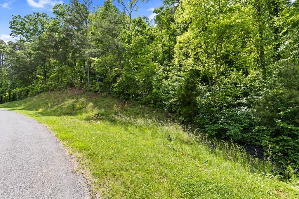 lot 205r Pinnacle Drive, Ellijay GA 30540 - Photo