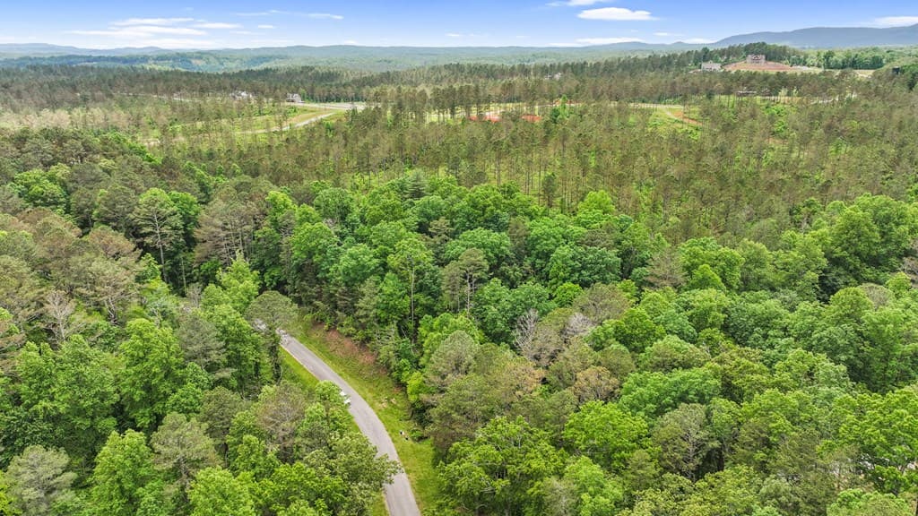 lot 205r Pinnacle Drive, Ellijay GA 30540 - Photo