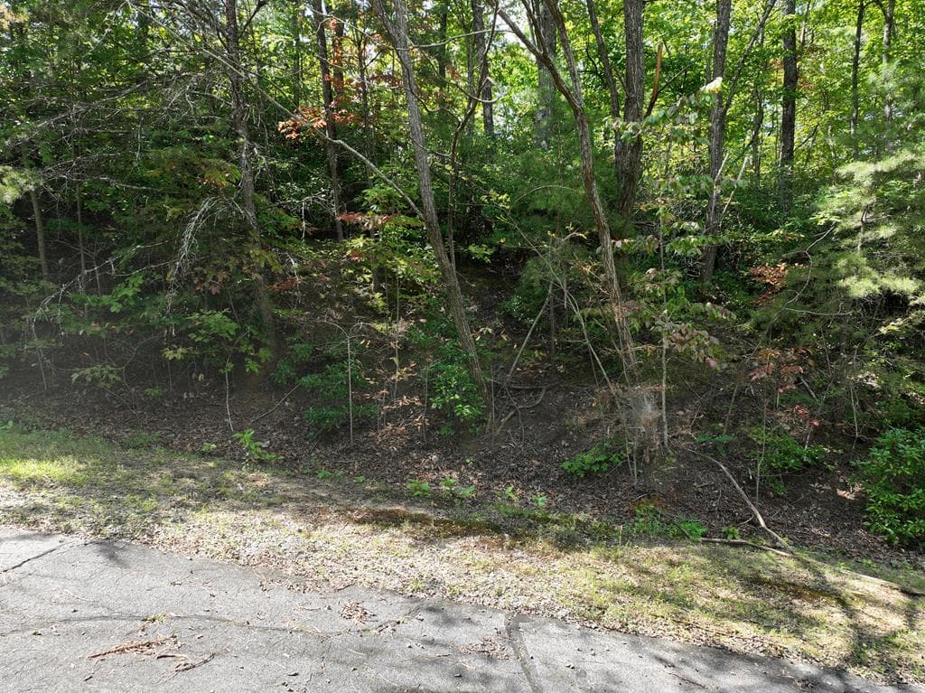 123 Edinborough Court, Ellijay GA 30536 - Photo