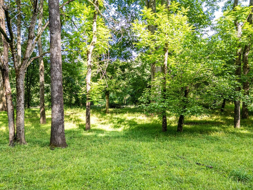 126 Remington Lane, Murphy NC 28906 - Photo