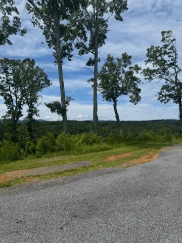 LT 104 River Knoll Trail, Ellijay GA 30540 - Photo