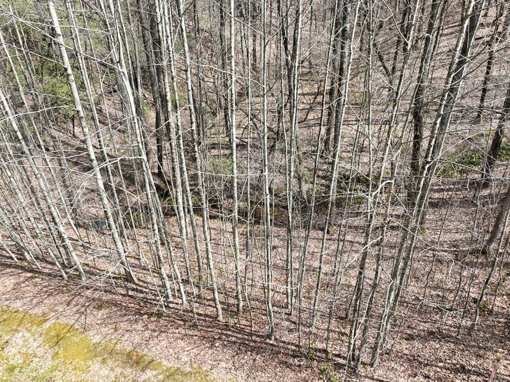 64 St Andrews Way, Ellijay GA 30536 - Photo