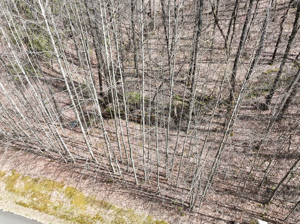64 St Andrews Way, Ellijay GA 30536 - Photo