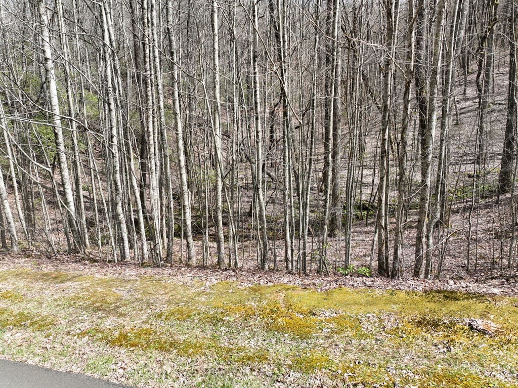 64 St Andrews Way, Ellijay GA 30536 - Photo