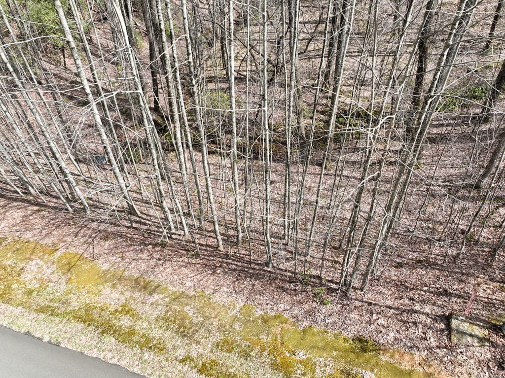 64 St Andrews Way, Ellijay GA 30536 - Photo