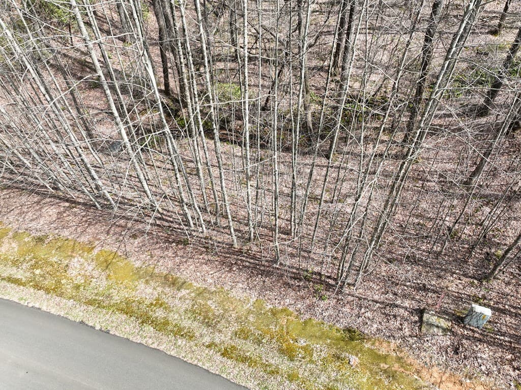 64 St Andrews Way, Ellijay GA 30536 - Photo