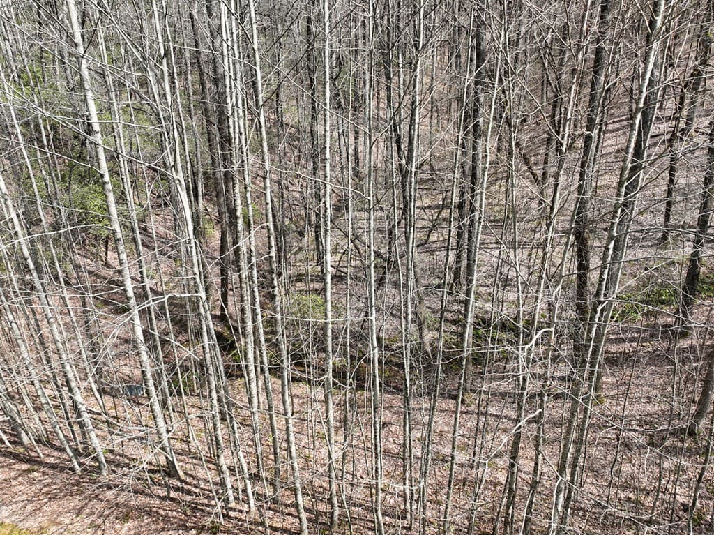 64 St Andrews Way, Ellijay GA 30536 - Photo