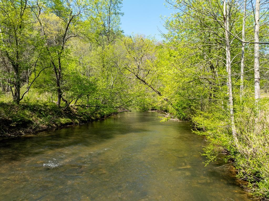 Lot 630 Nahunta Court, Ellijay GA 30540 - Photo