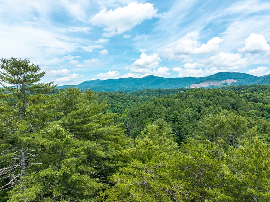 Lot 630 Nahunta Court, Ellijay GA 30540 - Photo