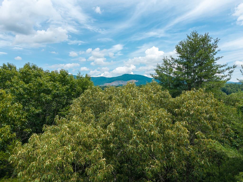 Lot 630 Nahunta Court, Ellijay GA 30540 - Photo