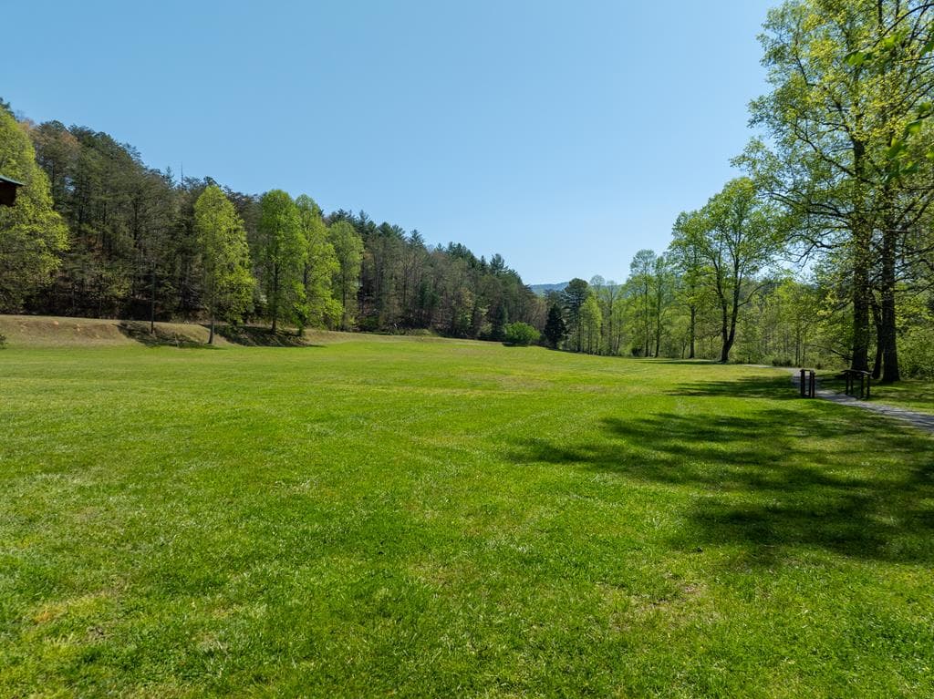 Lot 630 Nahunta Court, Ellijay GA 30540 - Photo