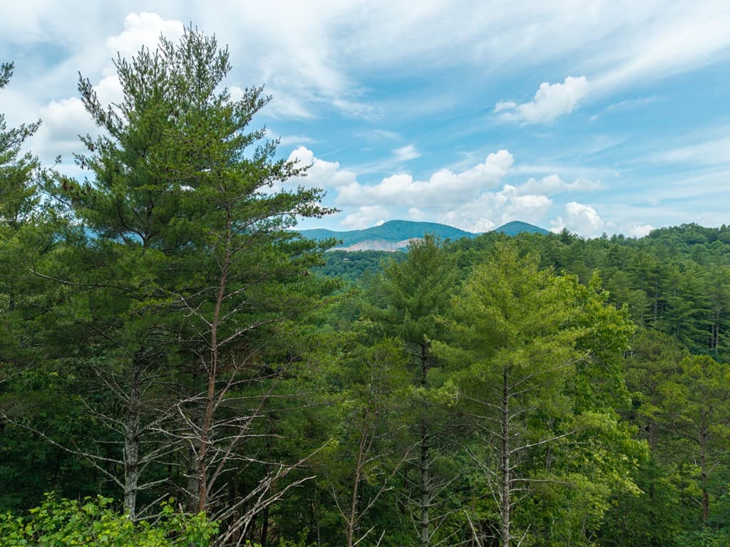 Lot 630 Nahunta Court, Ellijay GA 30540 - Photo