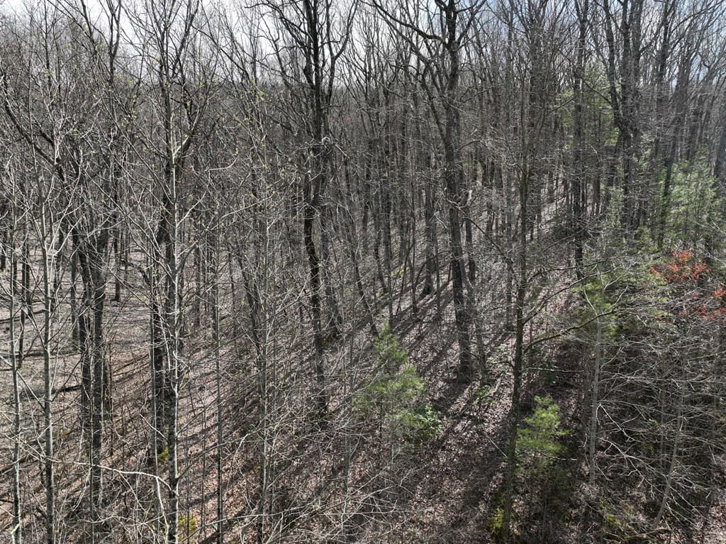 65 St Andrews Way, Ellijay GA 30536 - Photo