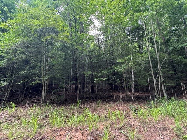 LT 9 Timberline Road, Murphy NC 28906 - Photo