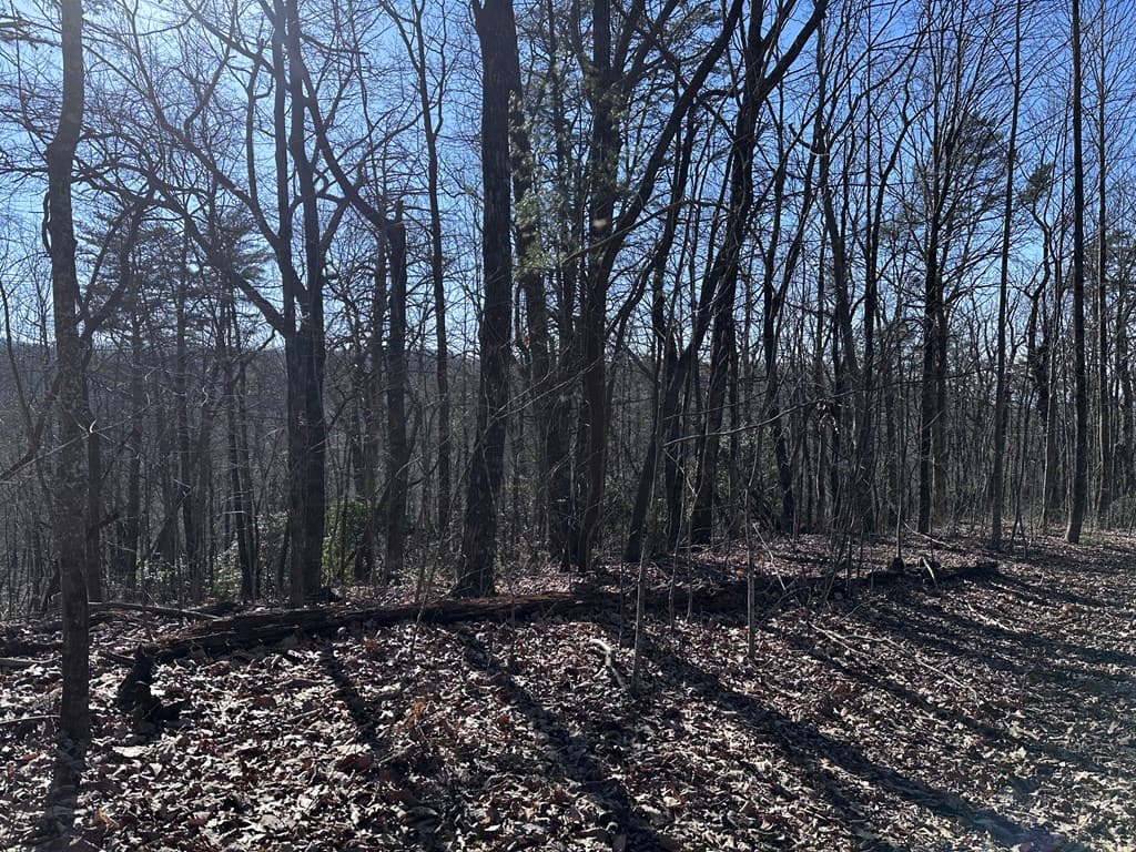 57 St Andrews Way, Ellijay GA 30536 - Photo