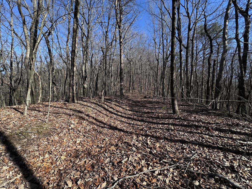 57 St Andrews Way, Ellijay GA 30536 - Photo