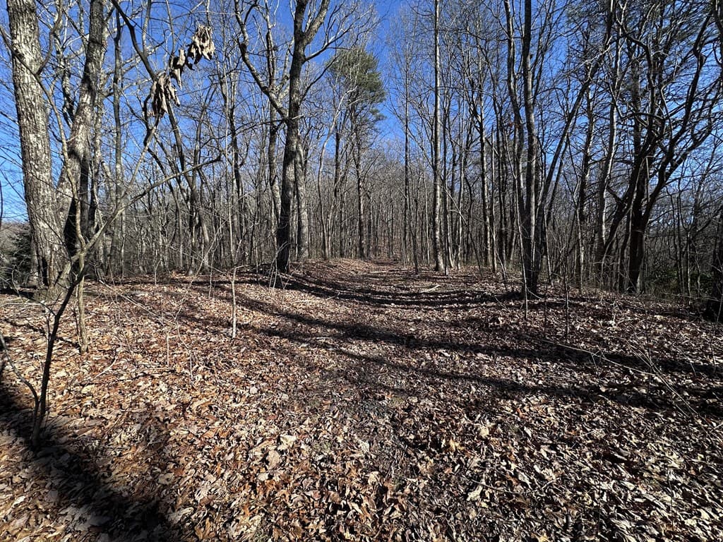 57 St Andrews Way, Ellijay GA 30536 - Photo