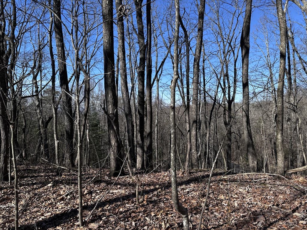 57 St Andrews Way, Ellijay GA 30536 - Photo
