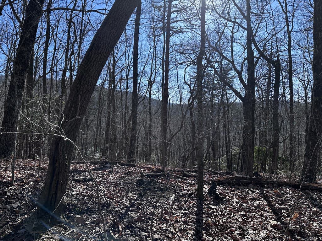 57 St Andrews Way, Ellijay GA 30536 - Photo