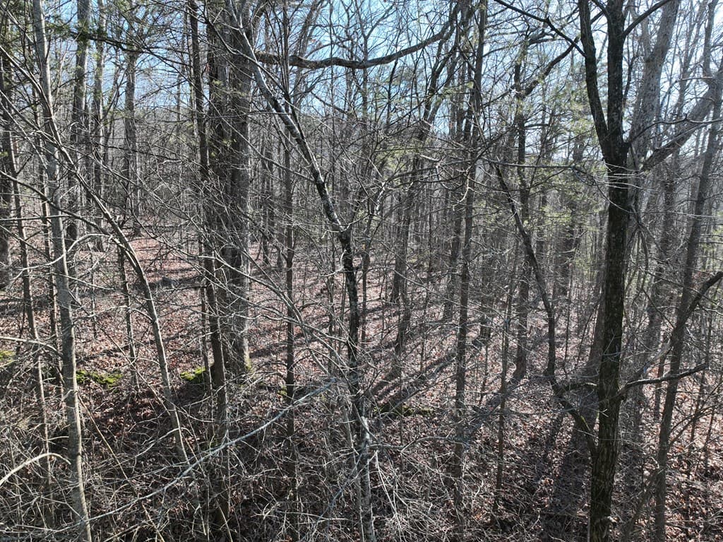 57 St Andrews Way, Ellijay GA 30536 - Photo