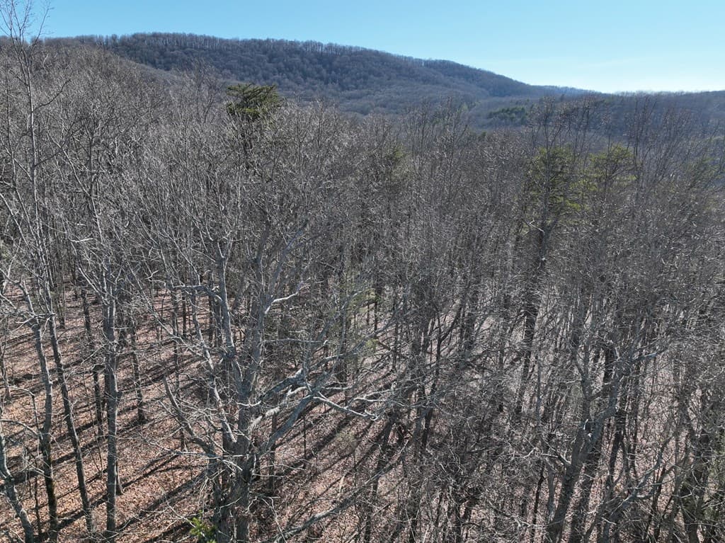 57 St Andrews Way, Ellijay GA 30536 - Photo