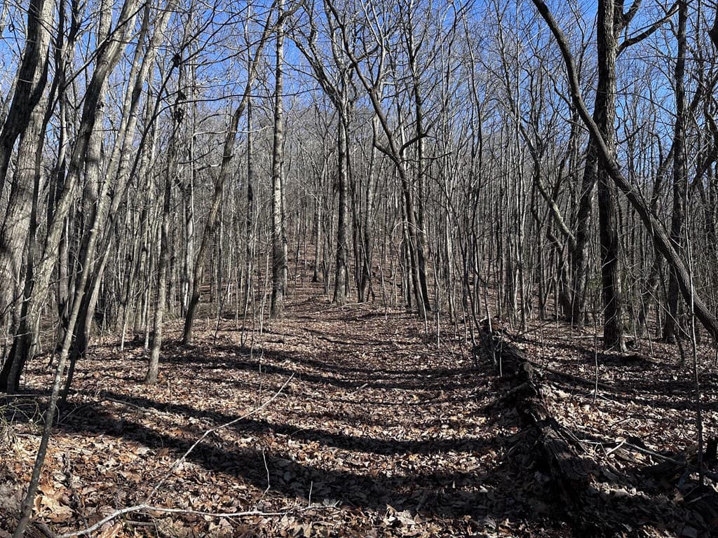 57 St Andrews Way, Ellijay GA 30536 - Photo