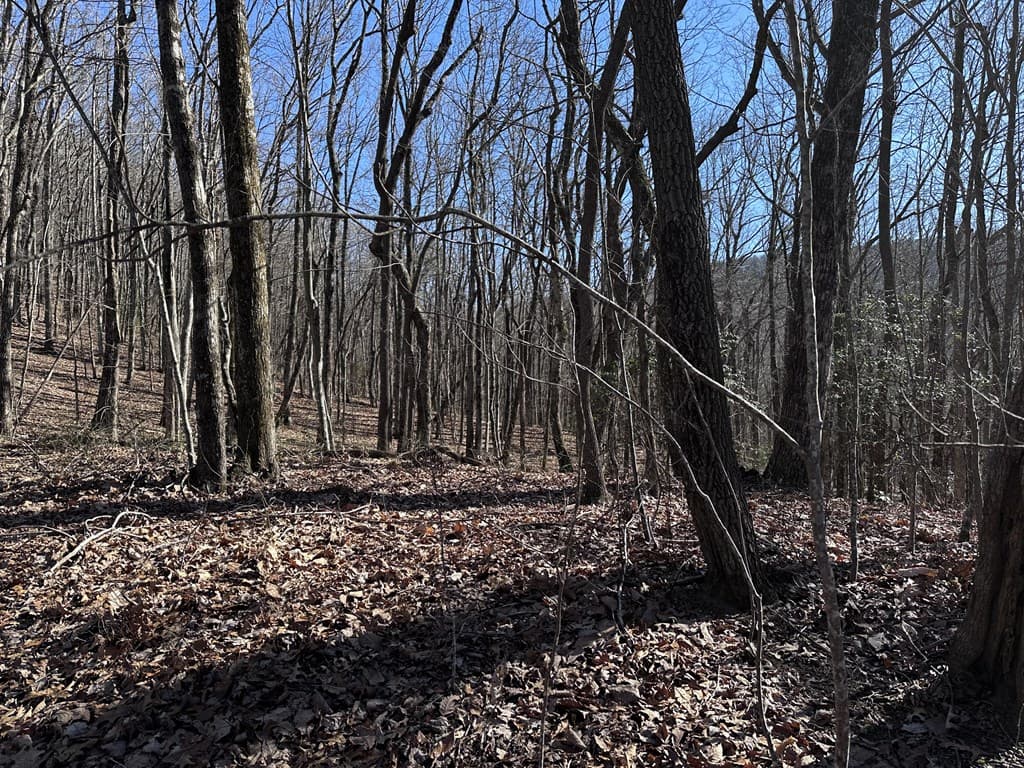 57 St Andrews Way, Ellijay GA 30536 - Photo