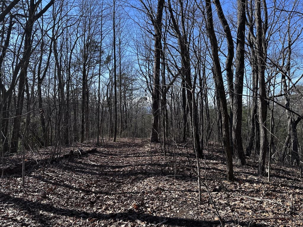 57 St Andrews Way, Ellijay GA 30536 - Photo
