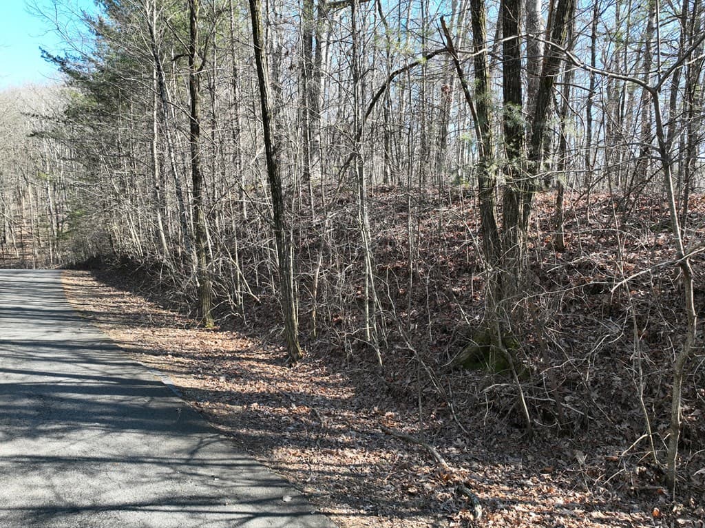 57 St Andrews Way, Ellijay GA 30536 - Photo