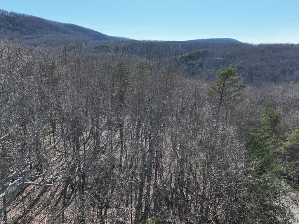 57 St Andrews Way, Ellijay GA 30536 - Photo