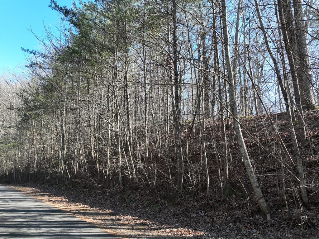 57 St Andrews Way, Ellijay GA 30536 - Photo