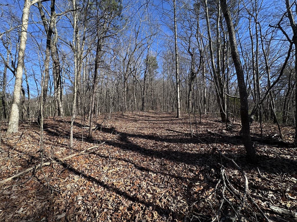57 St Andrews Way, Ellijay GA 30536 - Photo