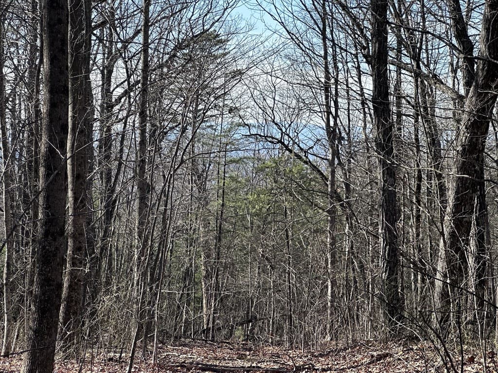 57 St Andrews Way, Ellijay GA 30536 - Photo