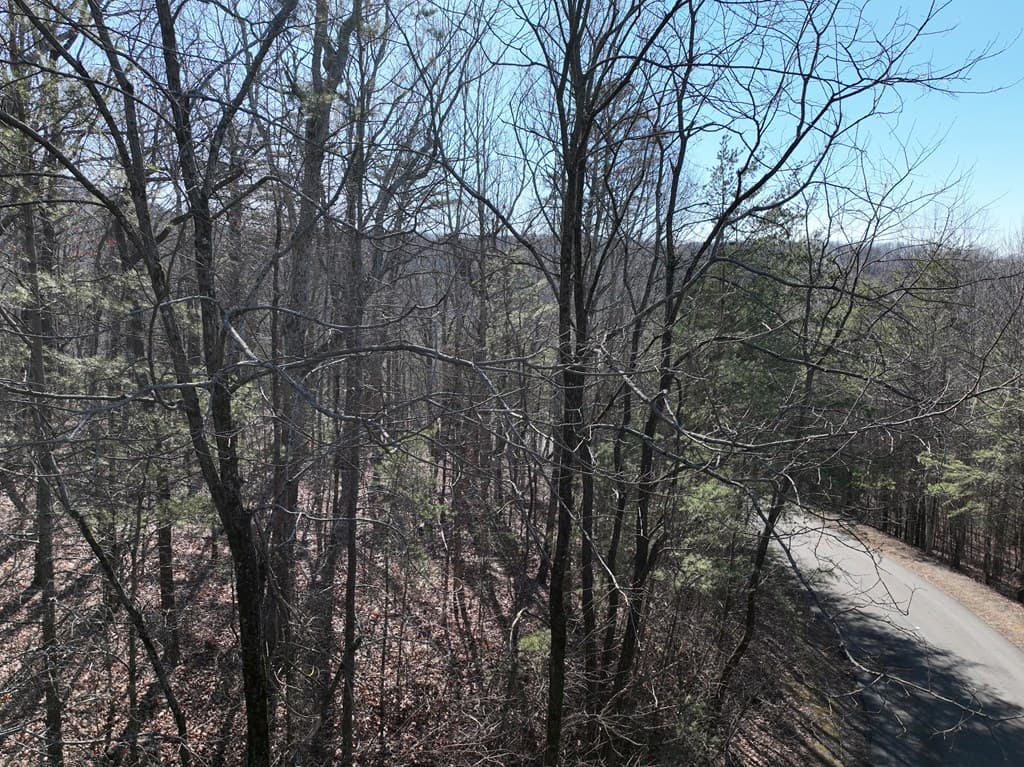 57 St Andrews Way, Ellijay GA 30536 - Photo