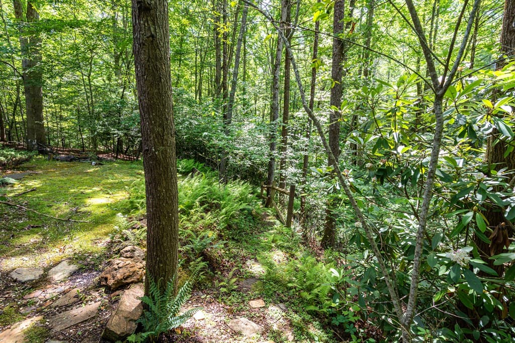 211 Red Oak Forest Lane, Murphy NC 28906 - Photo